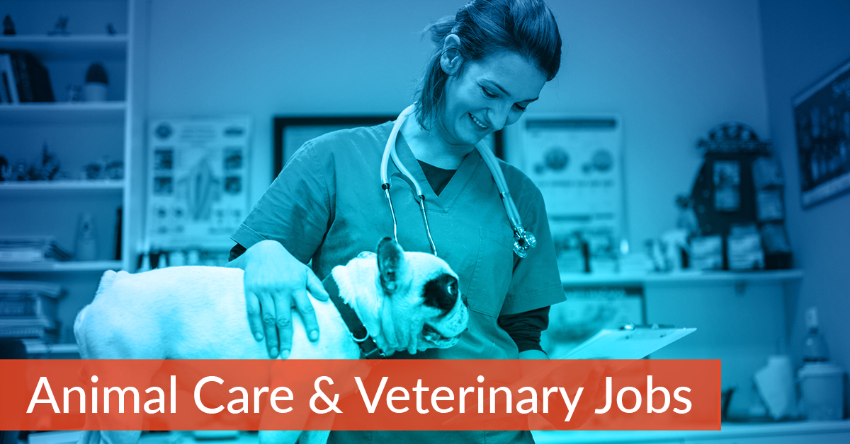 Animal Care Veterinary Jobs in Cedar Rapids and Iowa City Corridor